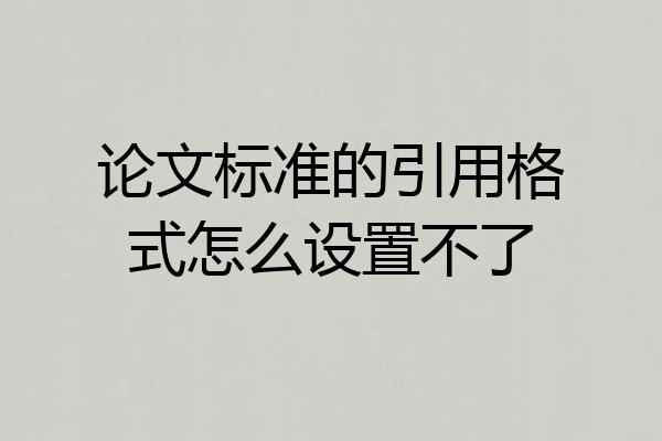 论文标准的引用格式怎么设置不了