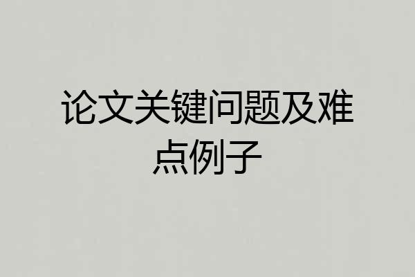 论文关键问题及难点例子
