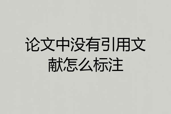 论文中没有引用文献怎么标注