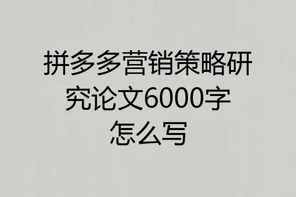 拼多多营销策略研究论文6000字怎么写