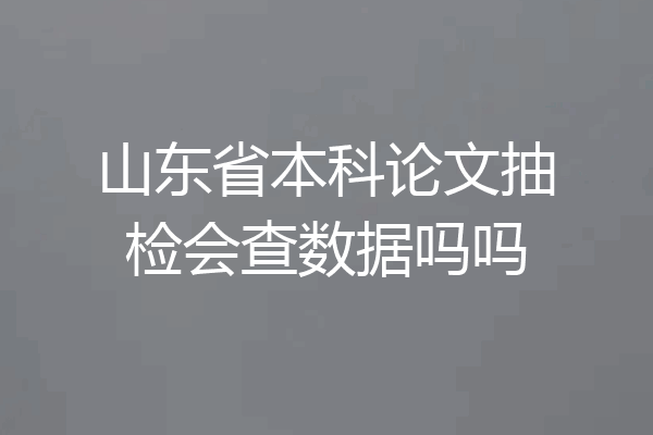 山东省本科论文抽检会查数据吗吗