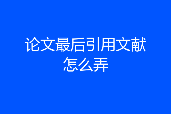论文最后引用文献怎么弄