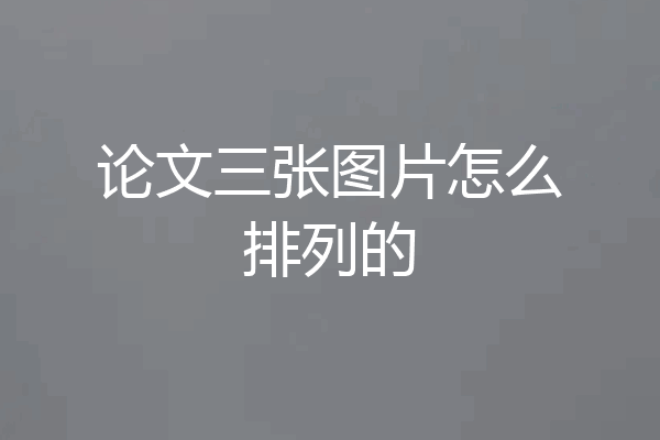论文三张图片怎么排列的