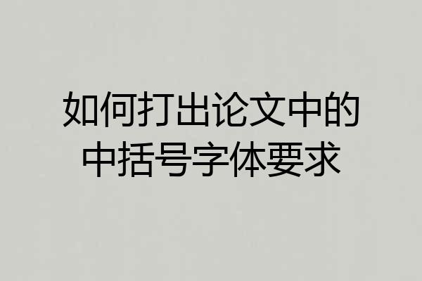 如何打出论文中的中括号字体要求