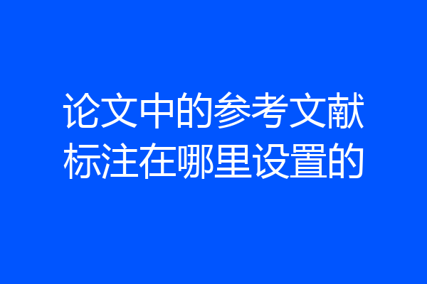 论文中的参考文献标注在哪里设置的