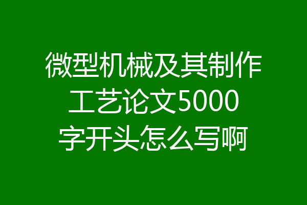 微型机械及其制作工艺论文5000字开头怎么写啊