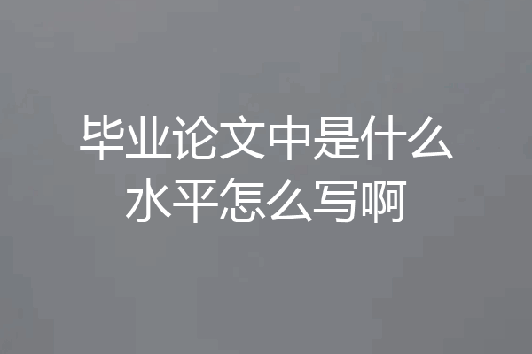 毕业论文中是什么水平怎么写啊