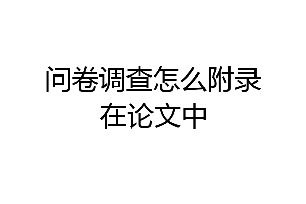 问卷调查怎么附录在论文中