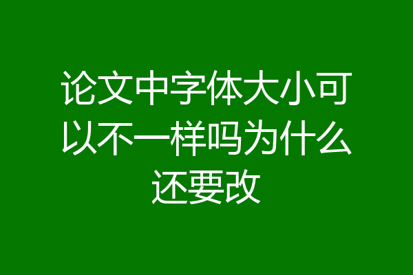 论文中字体大小可以不一样吗为什么还要改