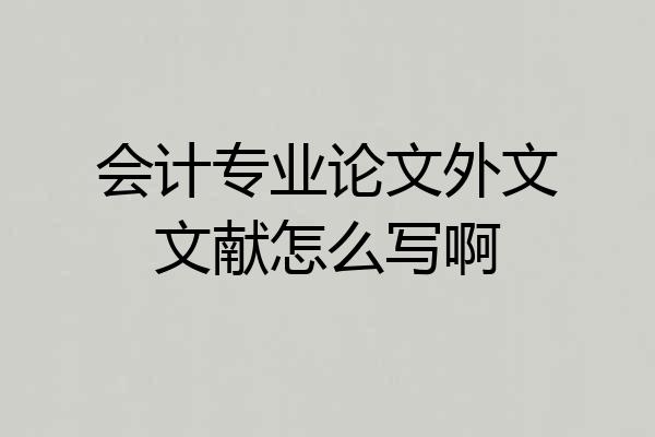 会计专业论文外文文献怎么写啊
