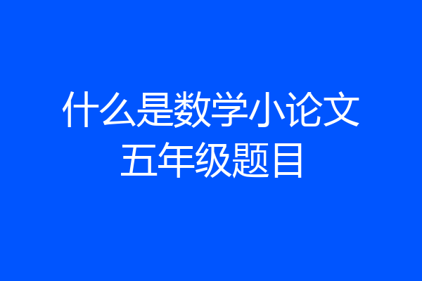 什么是数学小论文五年级题目
