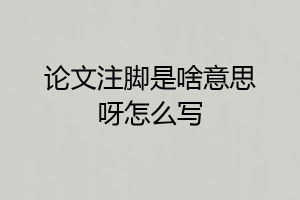 论文注脚是啥意思呀怎么写