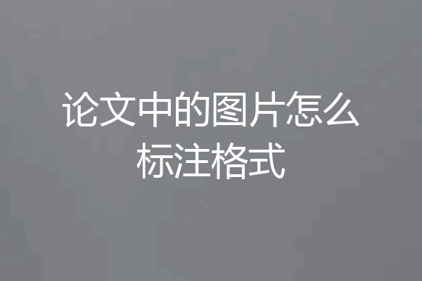 论文中的图片怎么标注格式