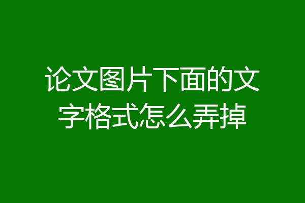 论文图片下面的文字格式怎么弄掉