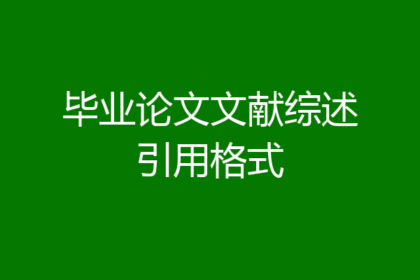 毕业论文文献综述引用格式