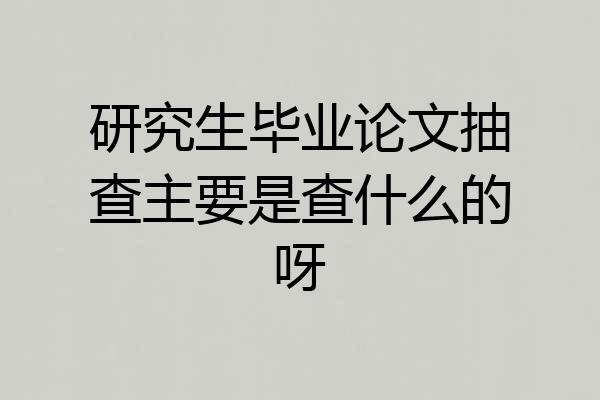 研究生毕业论文抽查主要是查什么的呀