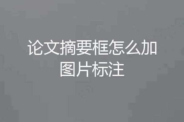 论文摘要框怎么加图片标注