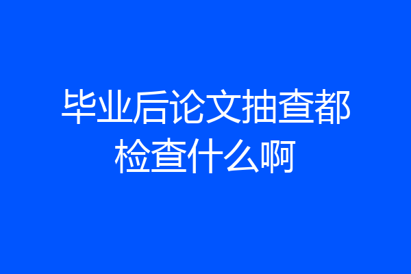 毕业后论文抽查都检查什么啊