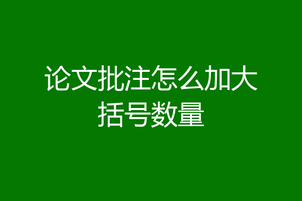 论文批注怎么加大括号数量