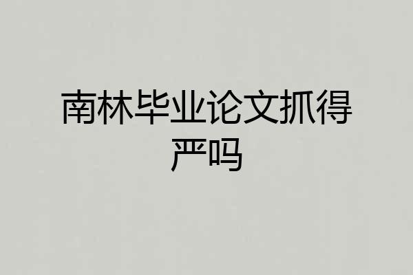 南林毕业论文抓得严吗