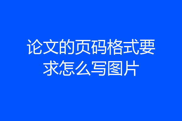 论文的页码格式要求怎么写图片