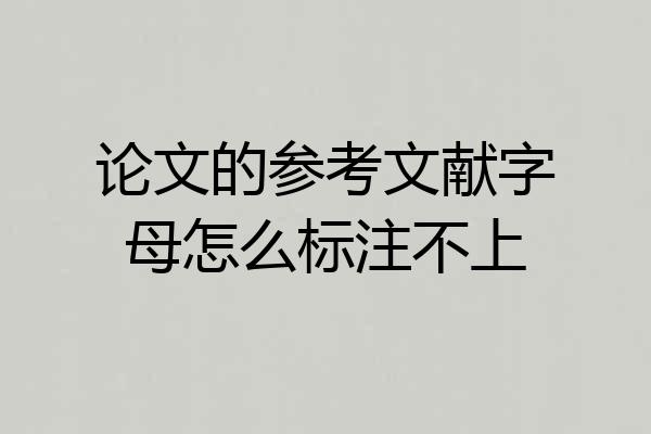 论文的参考文献字母怎么标注不上