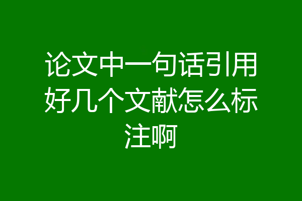 论文中一句话引用好几个文献怎么标注啊