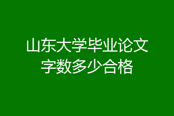 山东大学毕业论文字数多少合格
