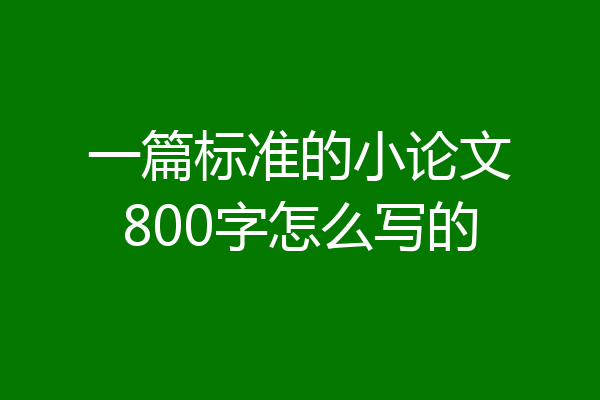 一篇标准的小论文800字怎么写的