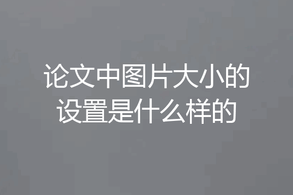 论文中图片大小的设置是什么样的