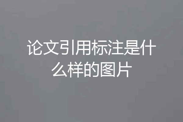 论文引用标注是什么样的图片