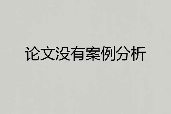 论文没有案例分析
