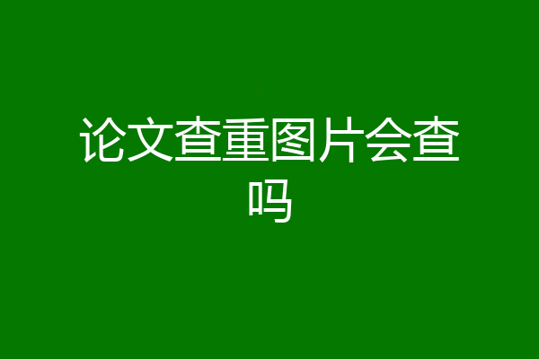 论文查重图片会查吗