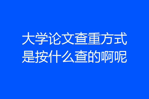 大学论文查重方式是按什么查的啊呢