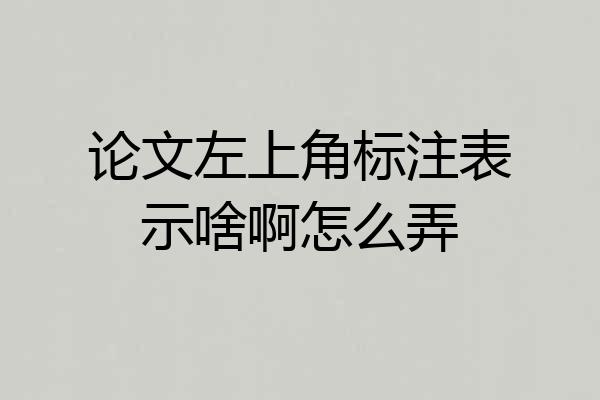 论文左上角标注表示啥啊怎么弄