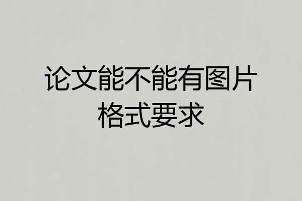 论文能不能有图片格式要求