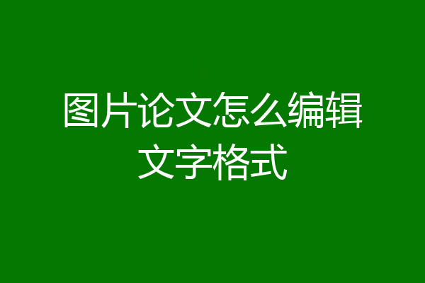 图片论文怎么编辑文字格式