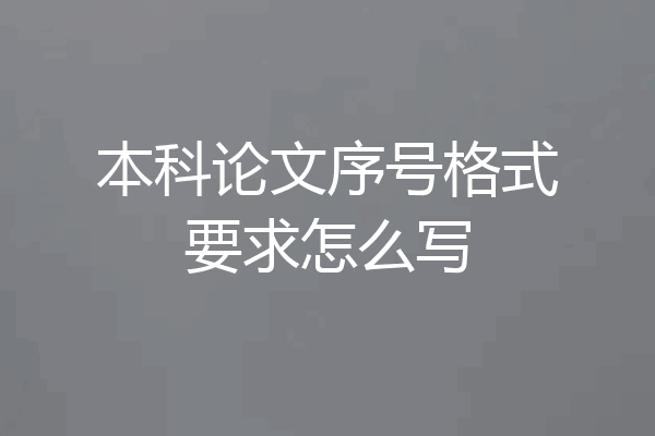 本科论文序号格式要求怎么写