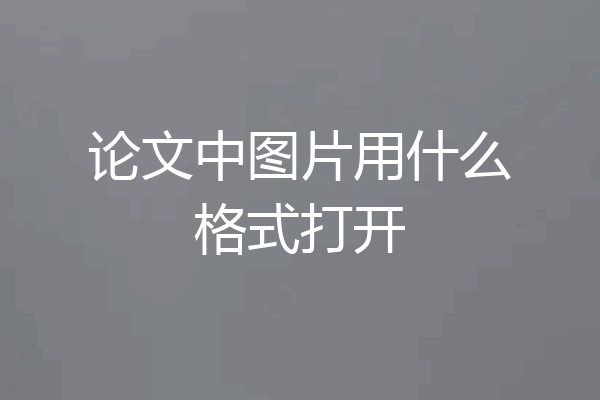 论文中图片用什么格式打开