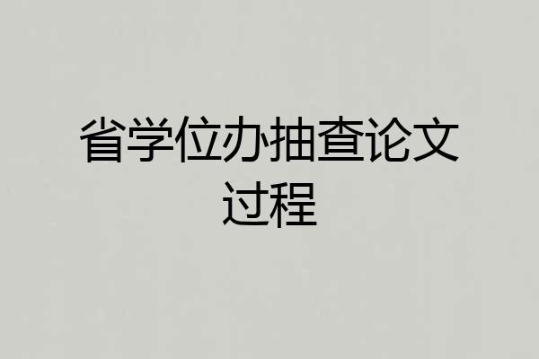 省学位办抽查论文过程