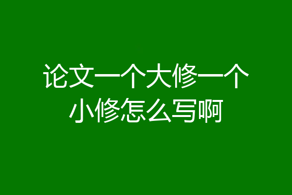 论文一个大修一个小修怎么写啊