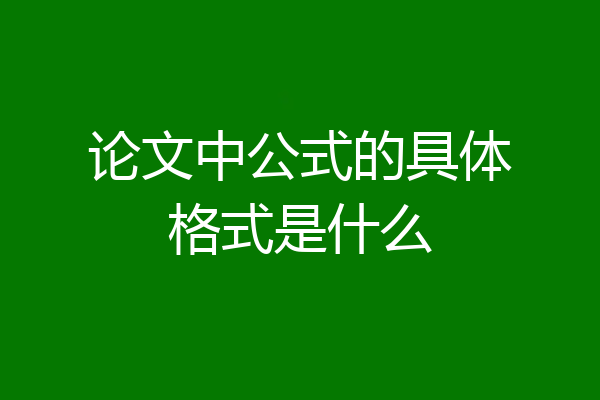 论文中公式的具体格式是什么