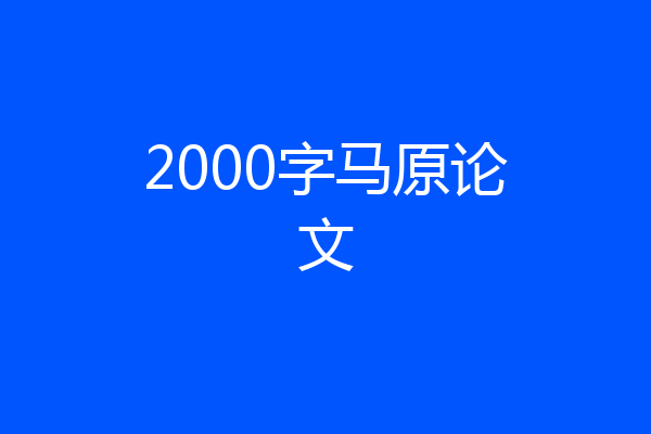 2000字马原论文