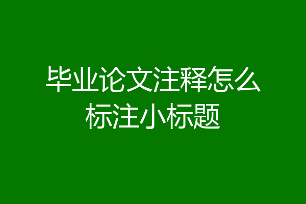 毕业论文注释怎么标注小标题