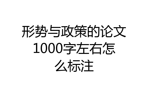 形势与政策的论文1000字左右怎么标注