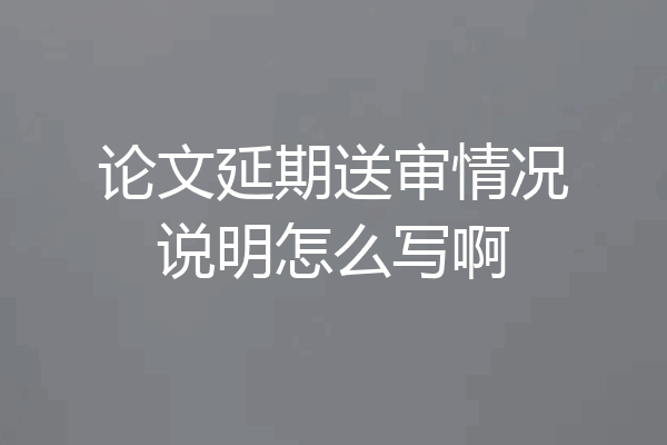 论文延期送审情况说明怎么写啊