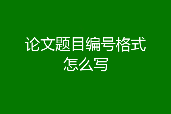 论文题目编号格式怎么写