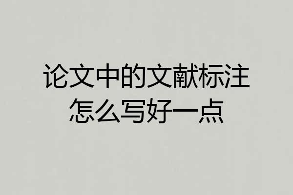 论文中的文献标注怎么写好一点