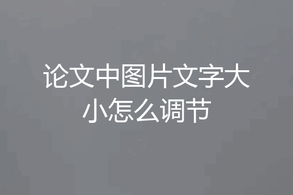 论文中图片文字大小怎么调节