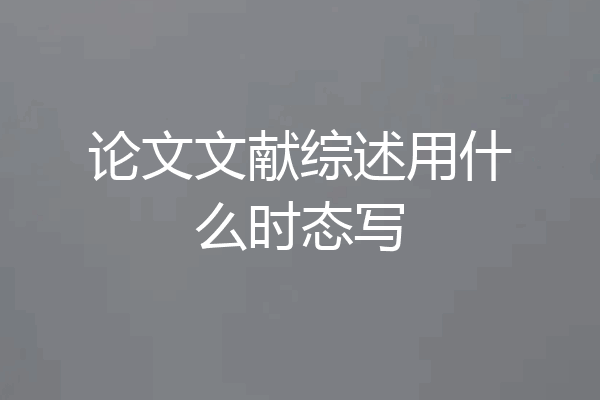 论文文献综述用什么时态写